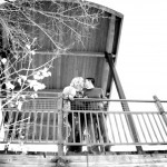 IMG_0430 - Version 2